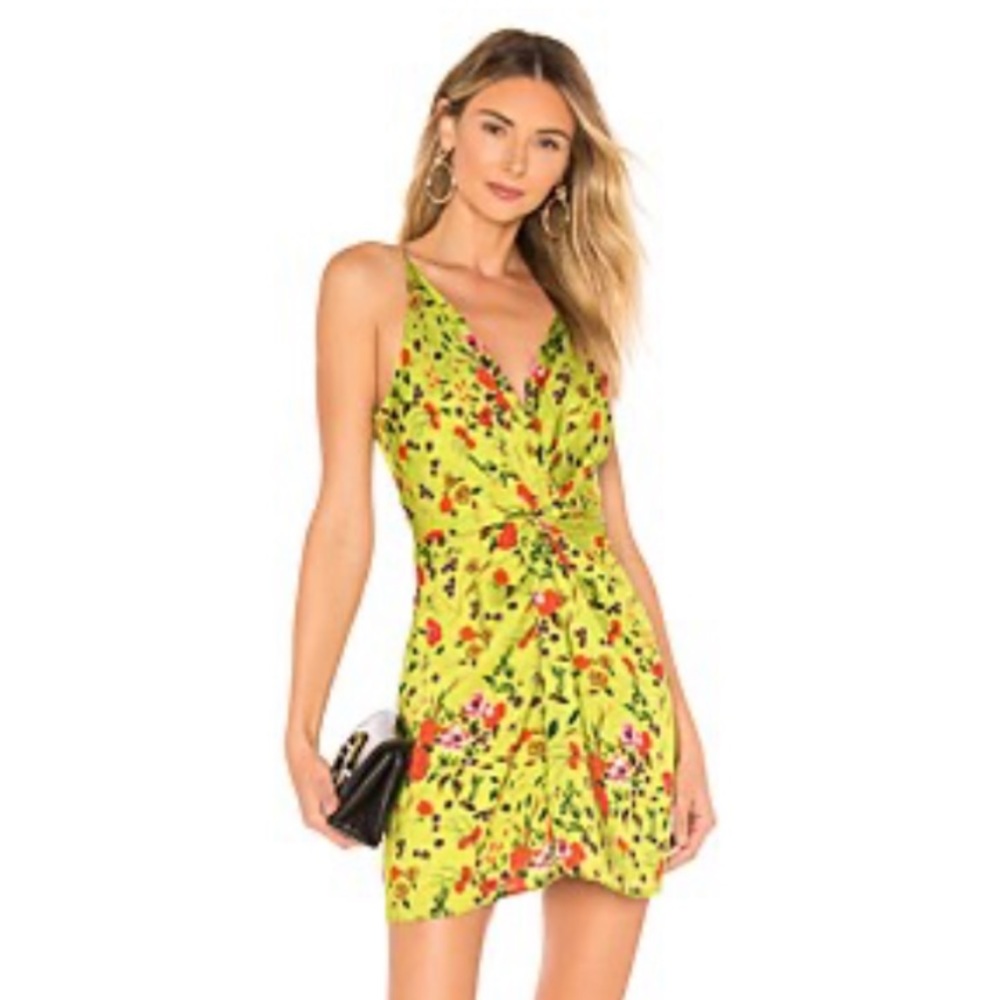 X Revolve Frankie Dress in Floral Green